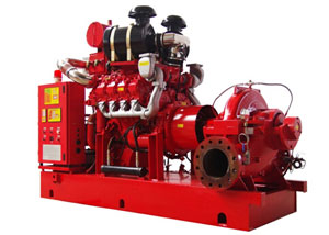 Fire Fighting System Pump